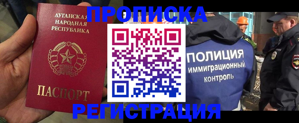 прописка поиск в Павловске