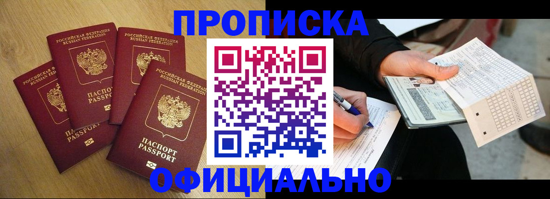 где прописаться в Павловске